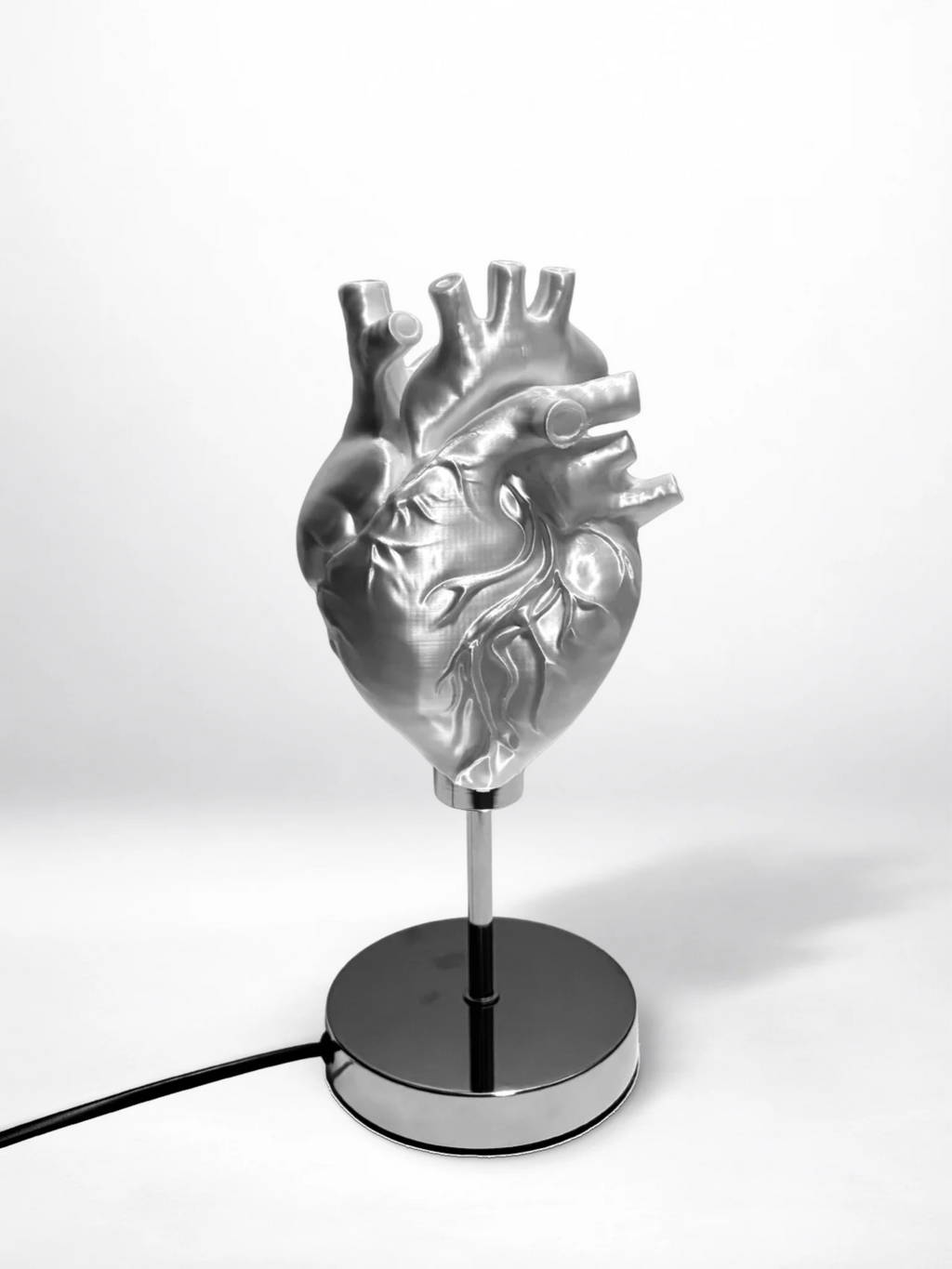 CataMount Anatomical Heart Lamp | 3D-Printed PLA / Resin | Warm White LED Sculptural Light