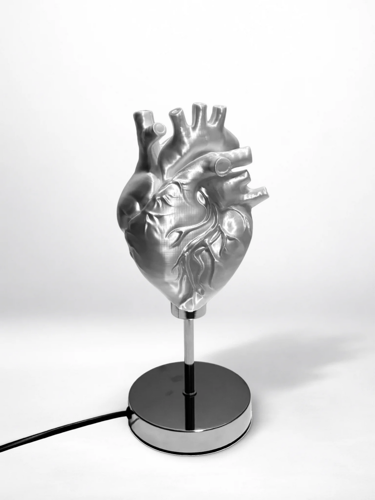 CataMount Anatomical Heart Lamp | 3D-Printed PLA / Resin | Warm White LED Sculptural Light