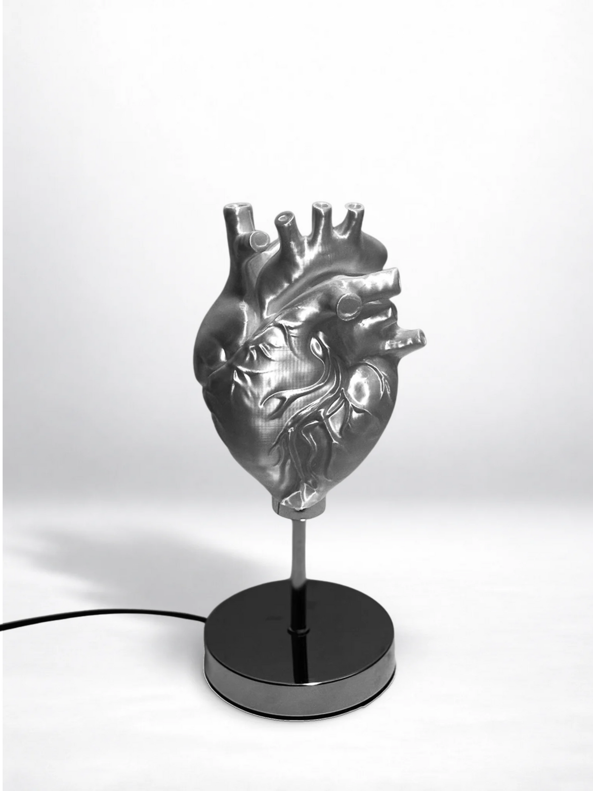 CataMount Anatomical Heart Lamp | 3D-Printed PLA / Resin | Warm White LED Sculptural Light