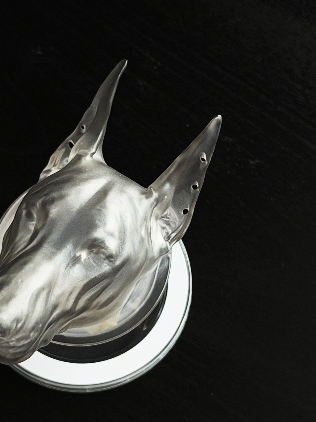 CataMount Original handmade Doberman Resin MagSafe Phone Grip & Stand