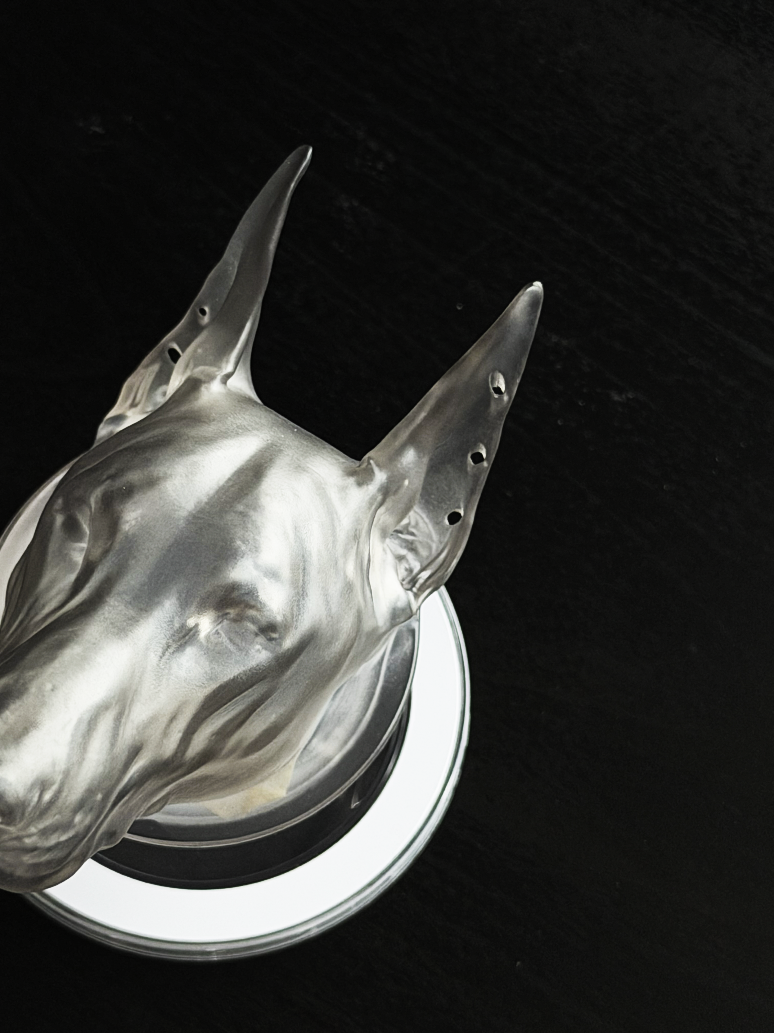 CataMount Original handmade Doberman Resin MagSafe Phone Grip & Stand