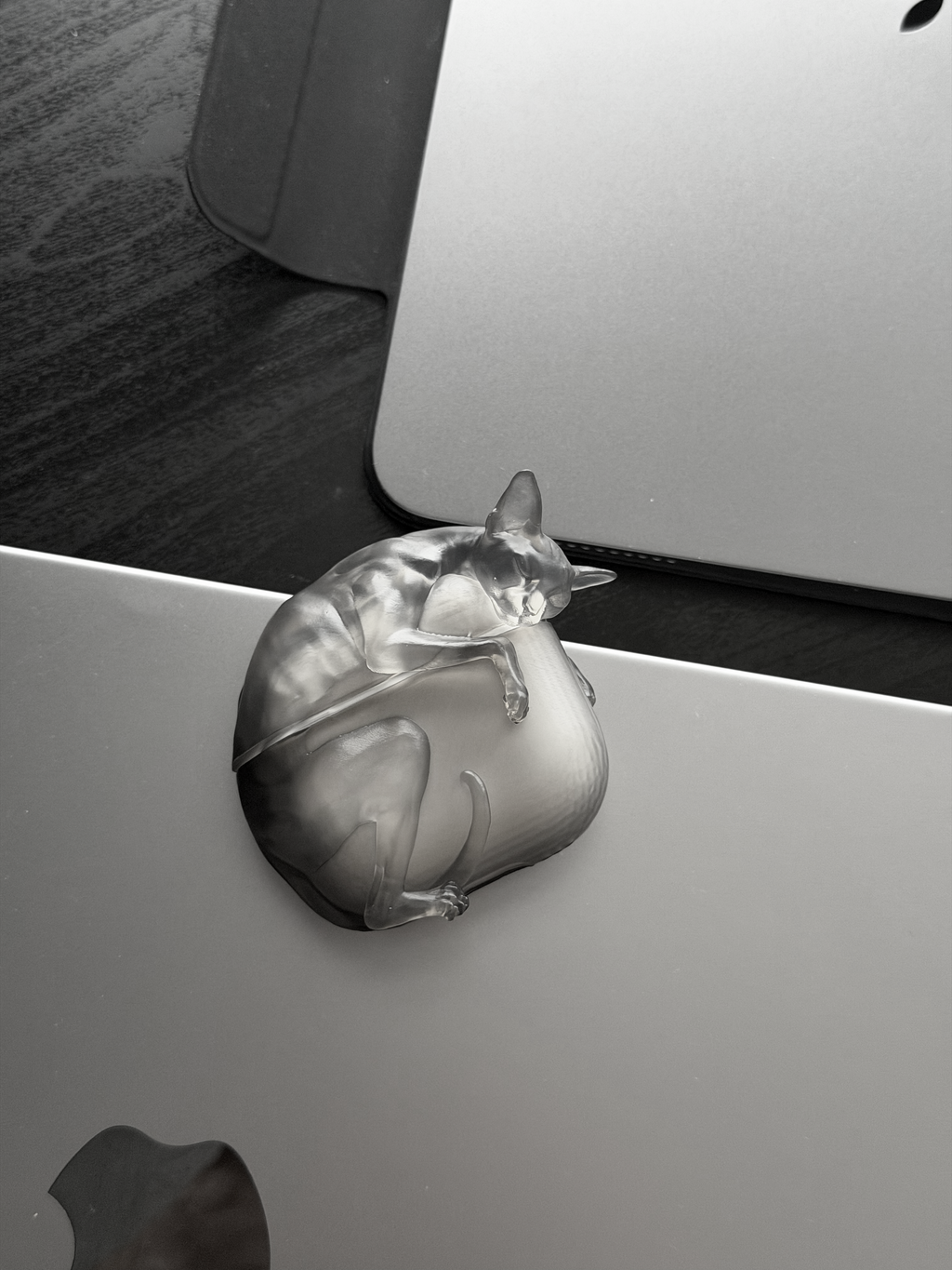 CataMount Original handmade Sphynx Cat AirPods Case for AirPods Pro 1/2/3 & AirPods 4