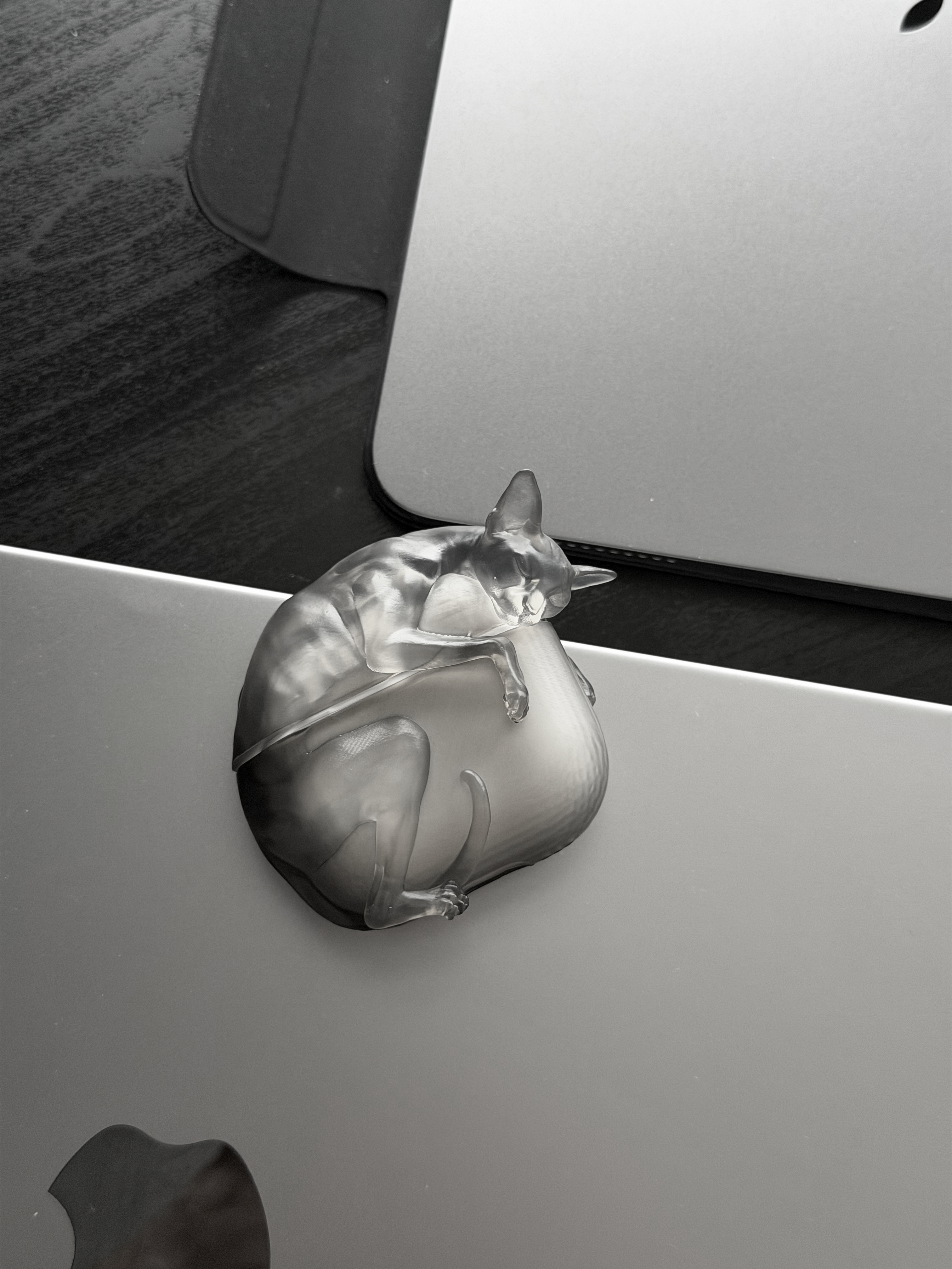 CataMount Original handmade Sphynx Cat AirPods Case for AirPods Pro 1/2/3 & AirPods 4