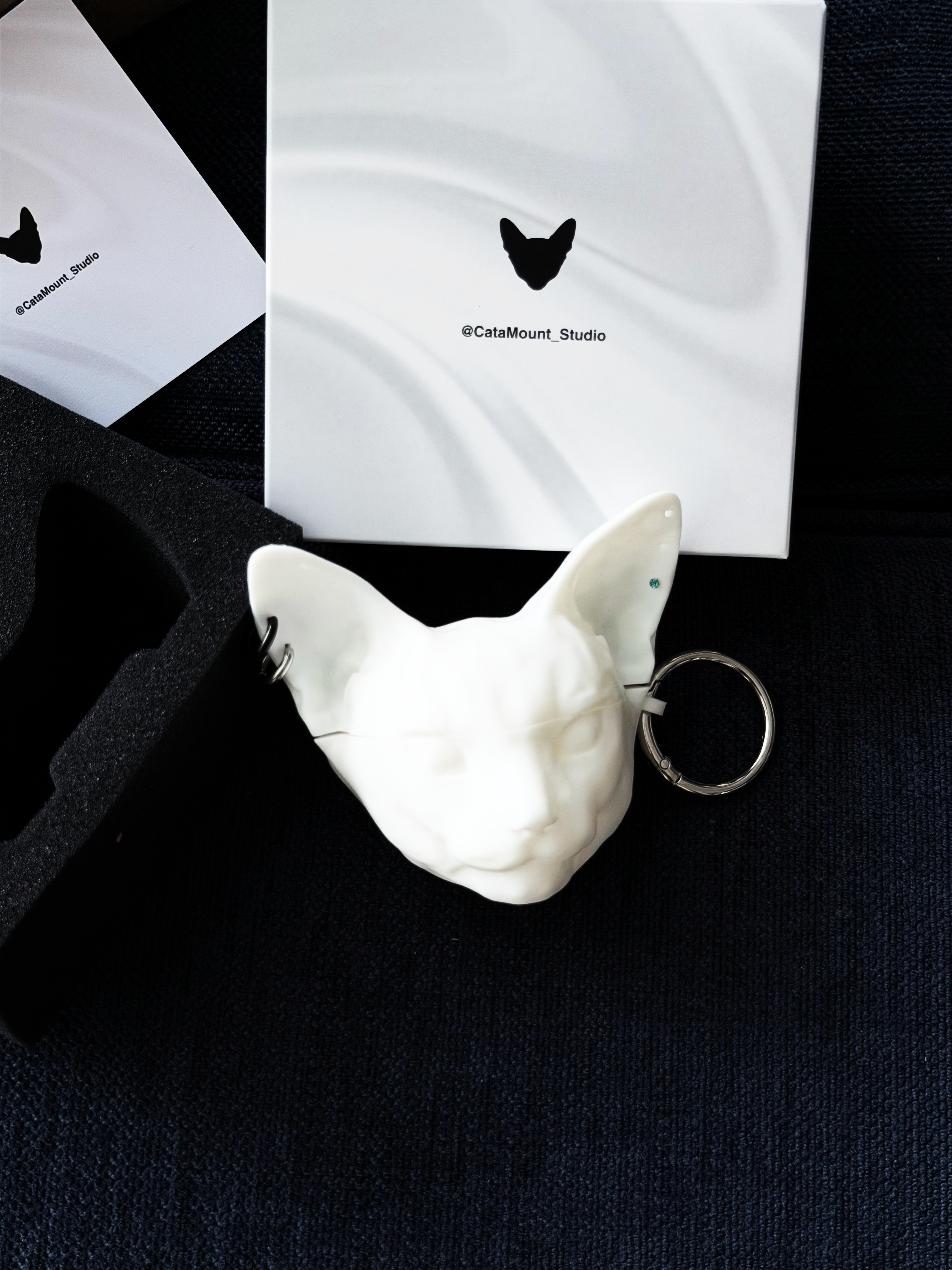 CataMount Original AirPods Case for Pro/4/3/2/1 | Handmade Custom Hard Shell Resin Material