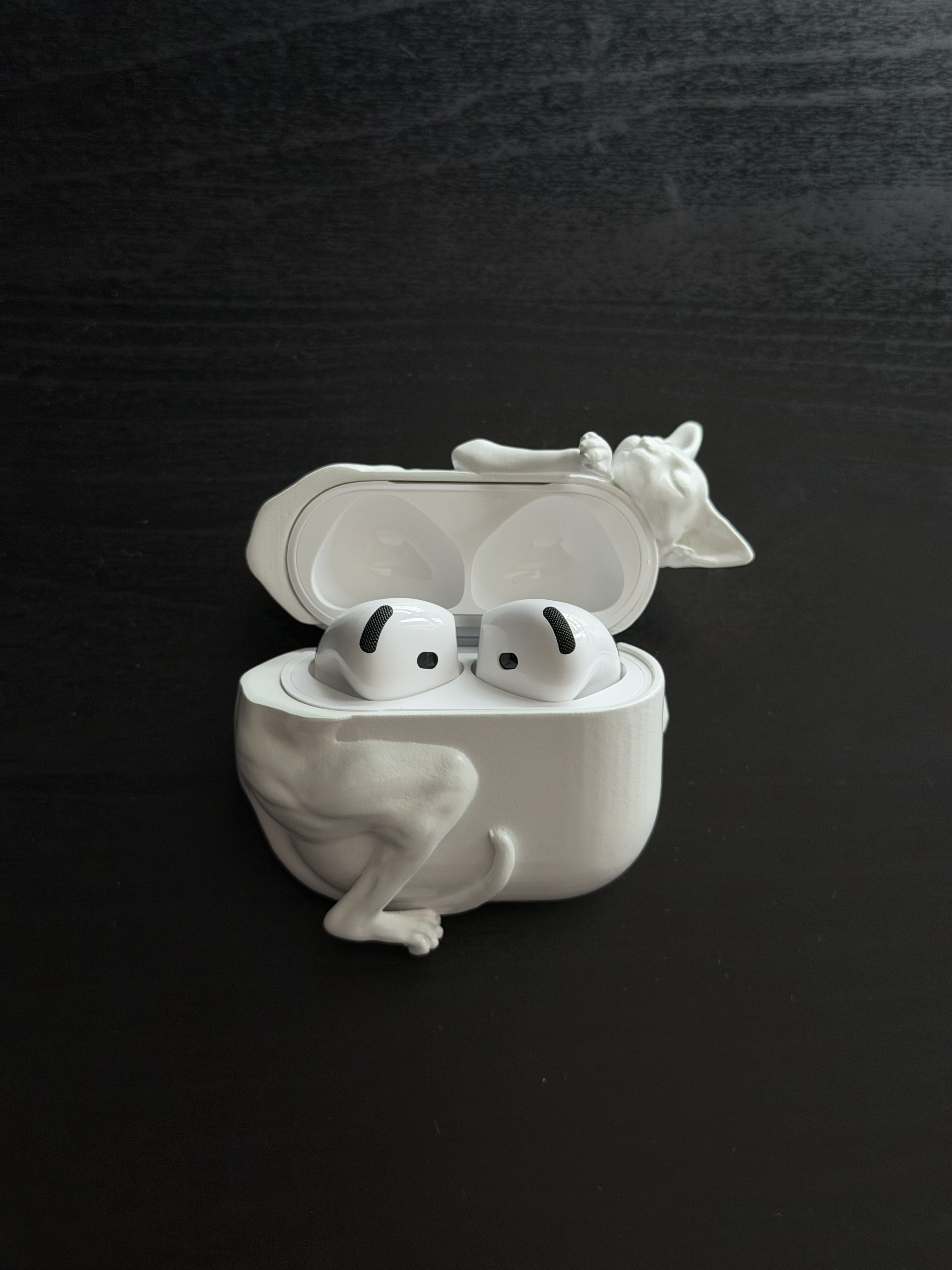 CataMount Original handmade Sphynx Cat AirPods Case for AirPods Pro 1/2/3 & AirPods 4
