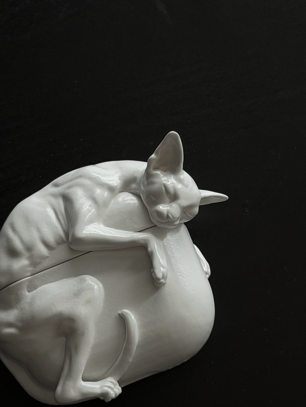 CataMount Original handmade Sphynx Cat AirPods Case for AirPods Pro 1/2/3 & AirPods 4