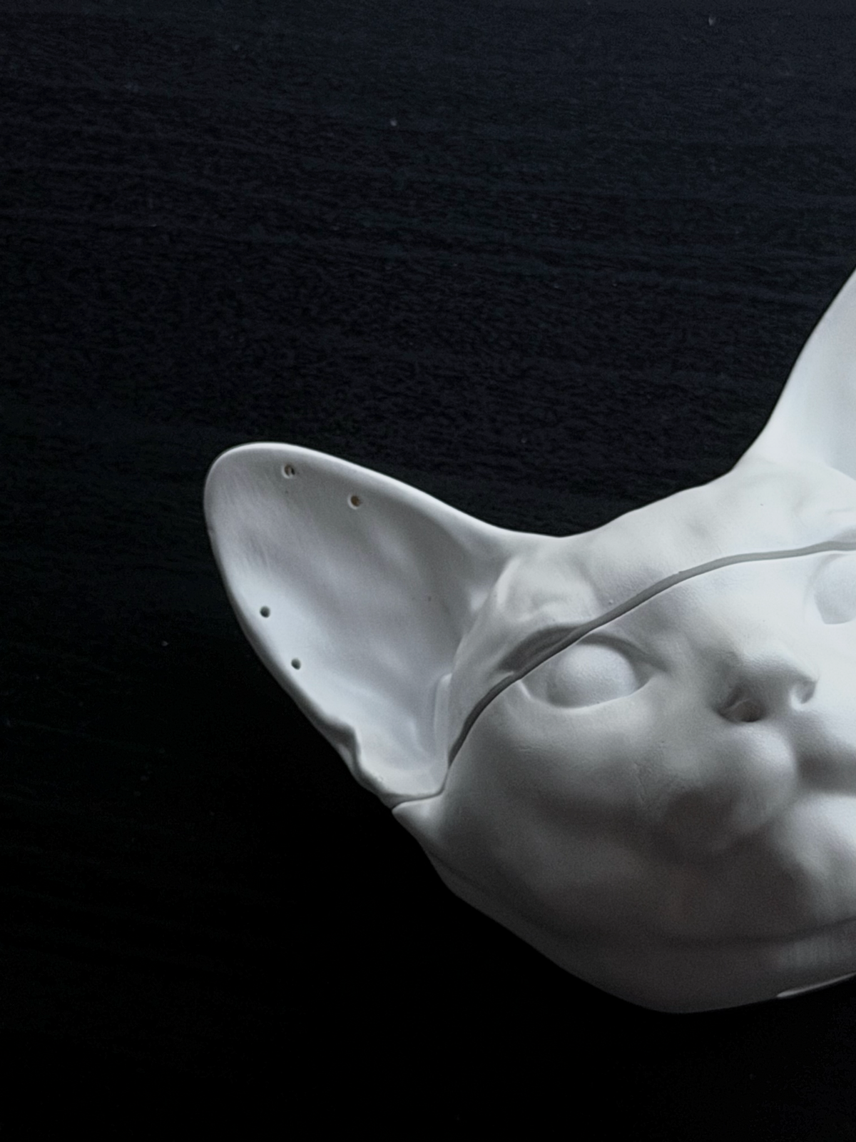 CataMount Original AirPods Case for Pro/4/3/2/1 | Handmade Custom Hard Shell Resin Material