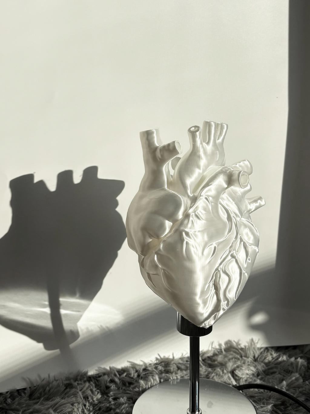 CataMount Anatomical Heart Lamp | 3D-Printed PLA / Resin | Warm White LED Sculptural Light