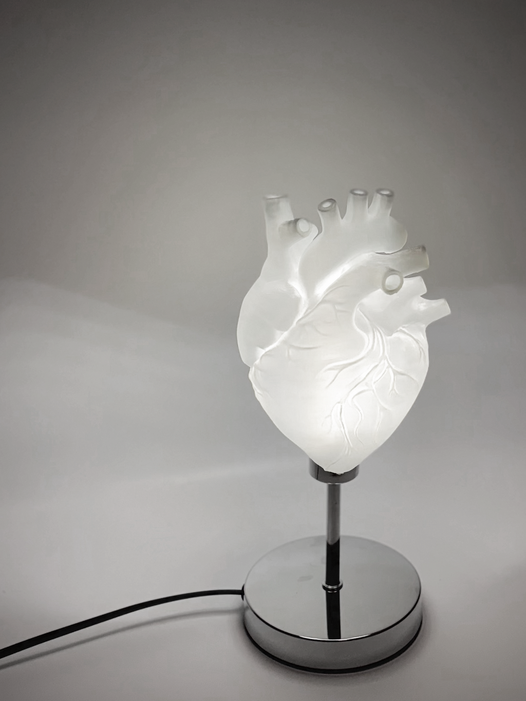 CataMount Anatomical Heart Lamp | 3D-Printed PLA / Resin | Warm White LED Sculptural Light