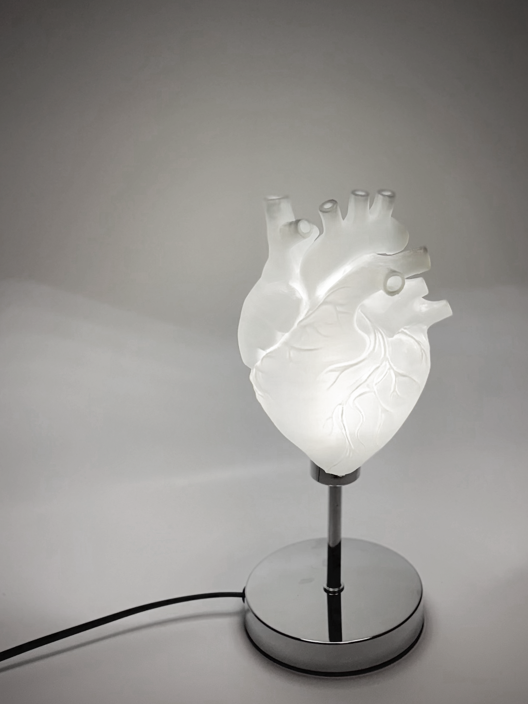 CataMount Anatomical Heart Lamp | 3D-Printed PLA / Resin | Warm White LED Sculptural Light