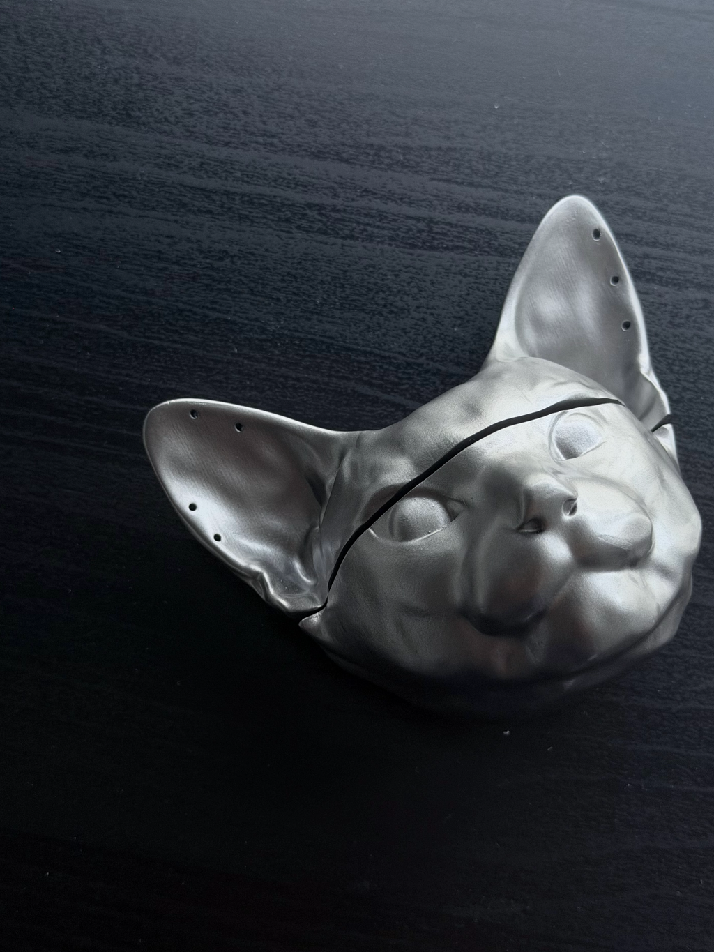 CataMount Original AirPods Case for Pro/4/3/2/1 | Handmade Custom Hard Shell Resin Material