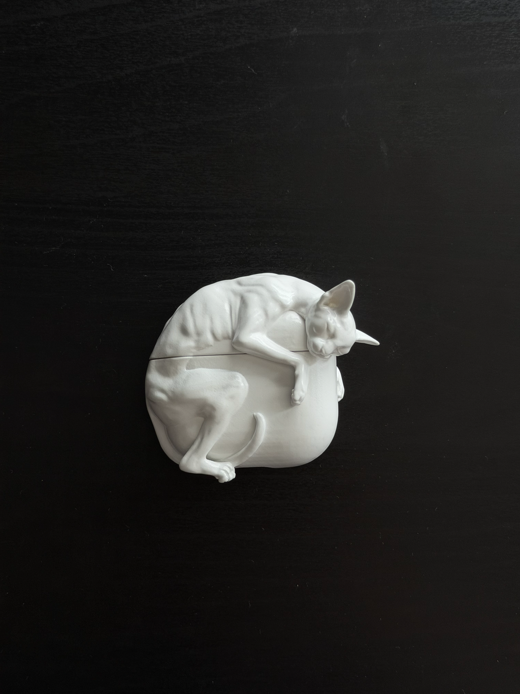 CataMount Original handmade Sphynx Cat AirPods Case for AirPods Pro 1/2/3 & AirPods 4