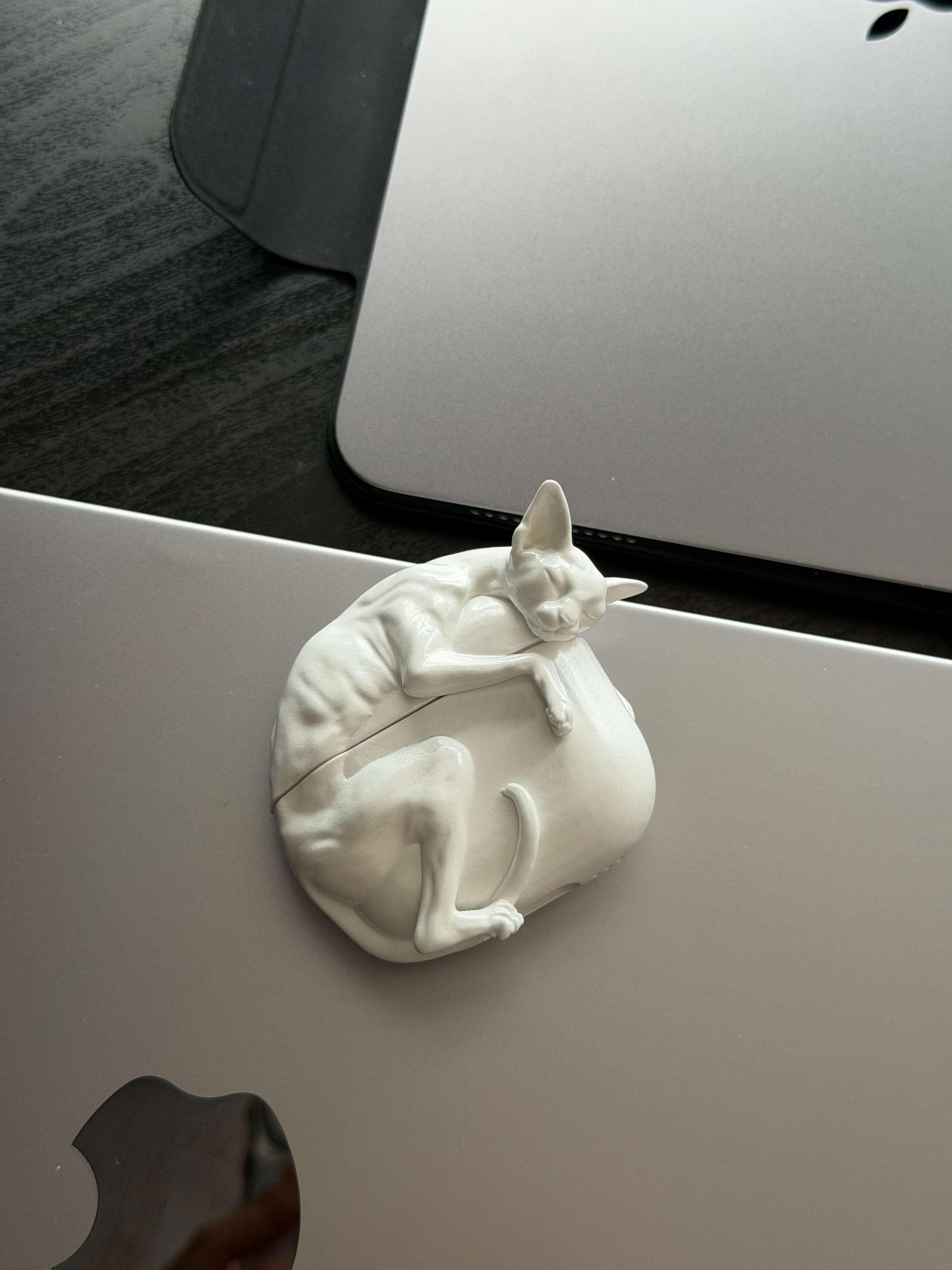CataMount Original handmade Sphynx Cat AirPods Case for AirPods Pro 1/2/3 & AirPods 4