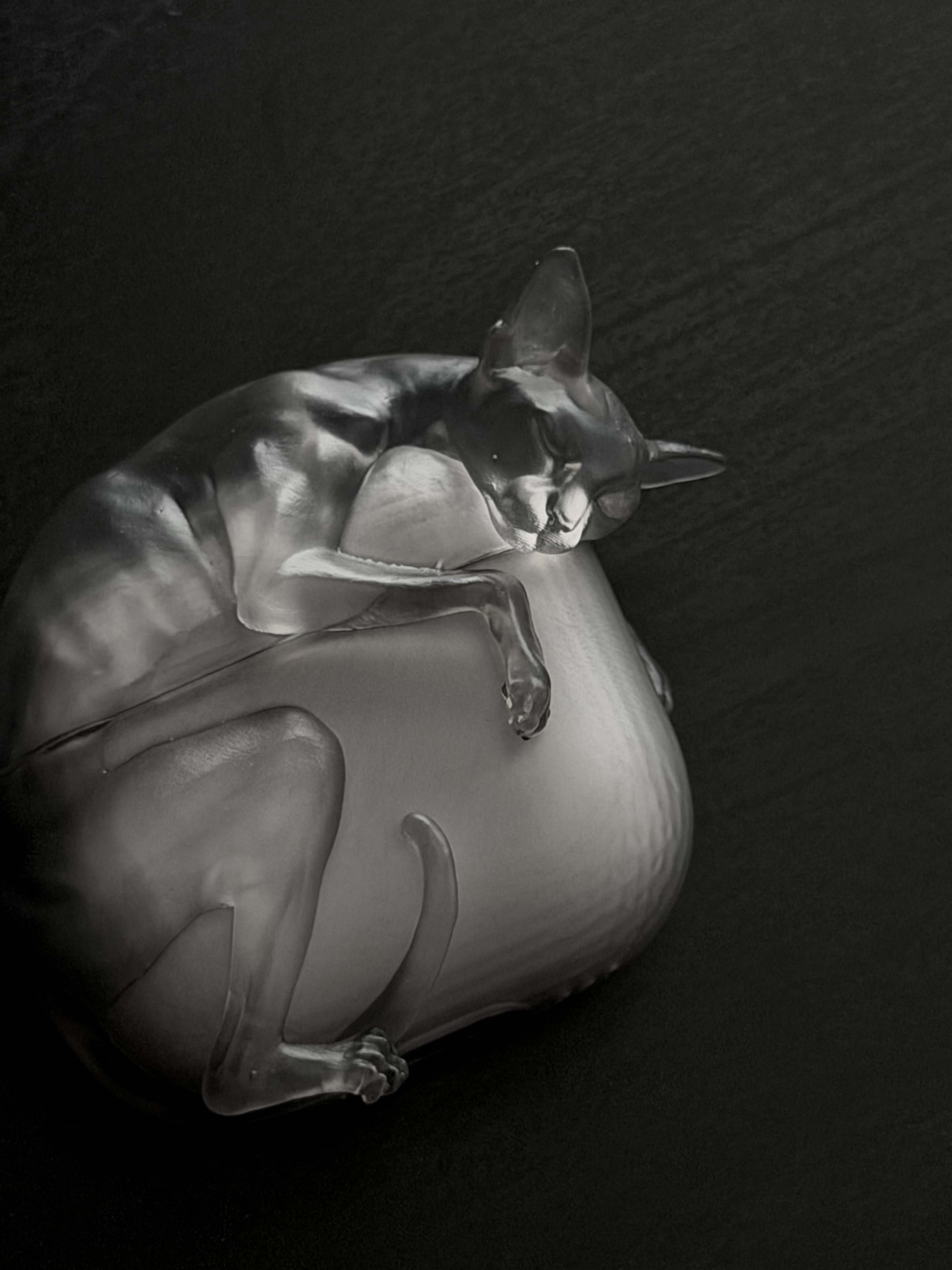 CataMount Original handmade Sphynx Cat AirPods Case for AirPods Pro 1/2/3 & AirPods 4