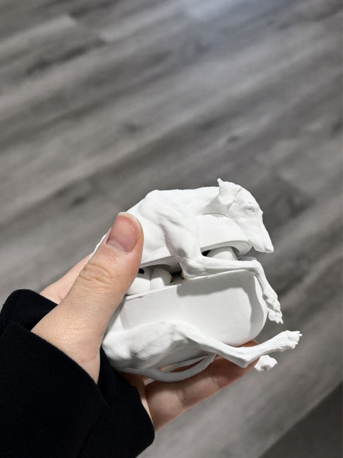 CataMount Doberman / Greyhound AirPods Case – Free PLA Replacement