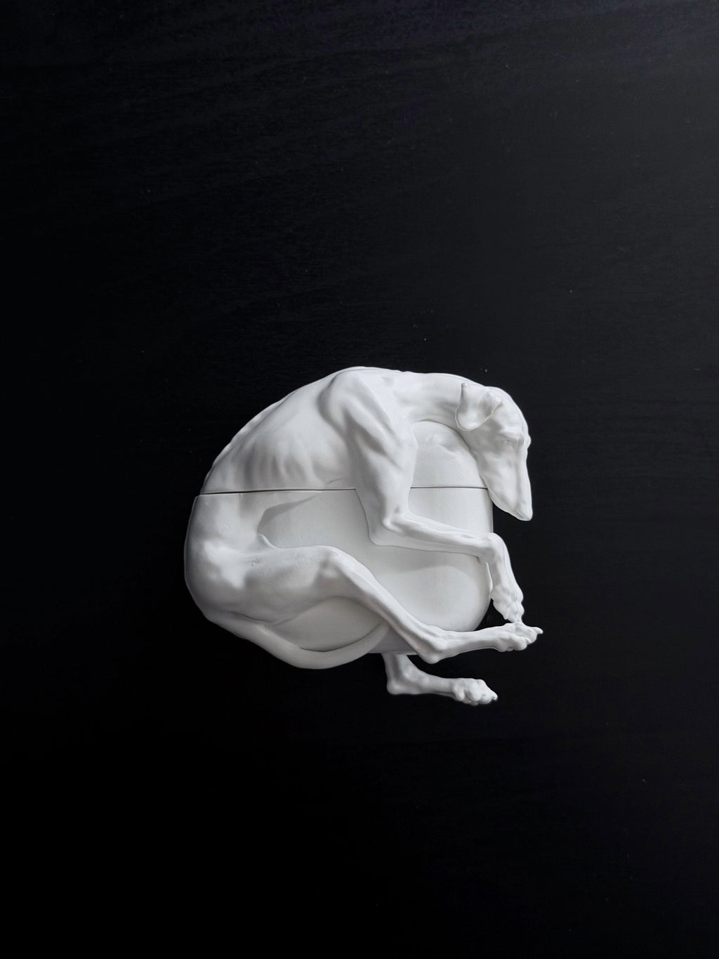CataMount Orignal handmade Doberman/ Greyhound AirPods Case for Airpods Pro 1/2/3 &Airpods 4
