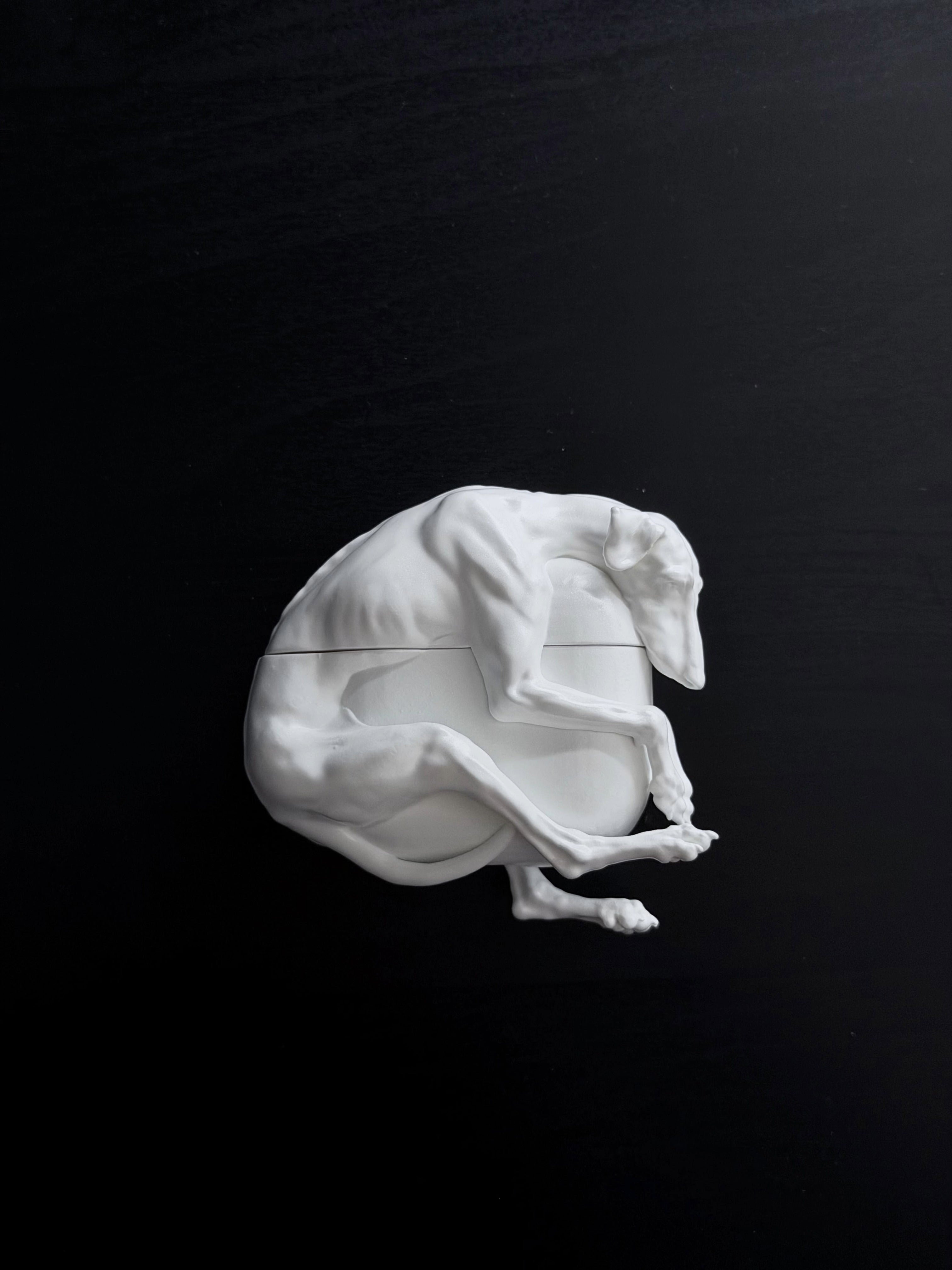 CataMount Orignal handmade Doberman/ Greyhound AirPods Case for Airpods Pro 1/2/3 &Airpods 4