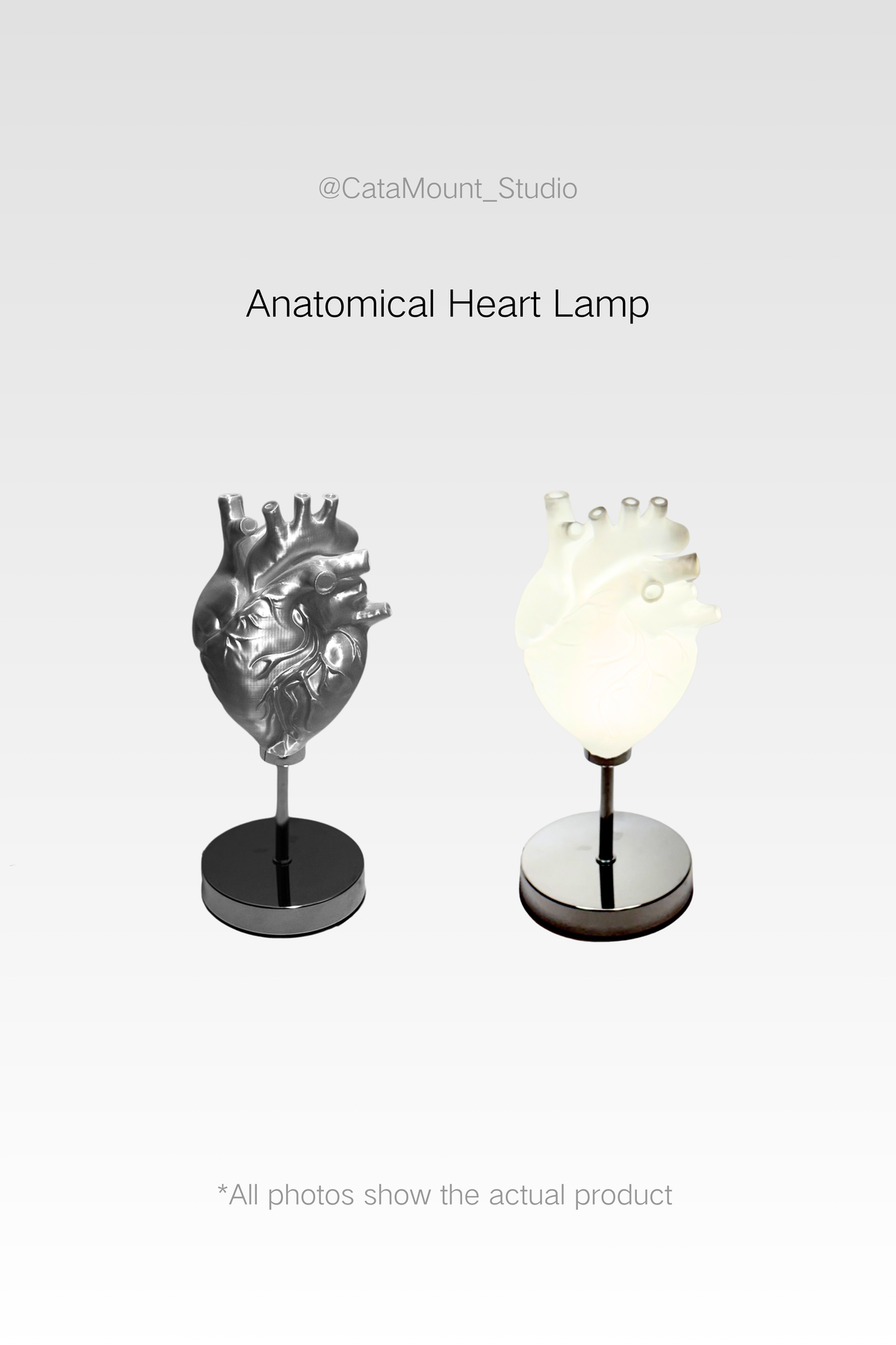 CataMount Anatomical Heart Lamp | 3D-Printed PLA / Resin | Warm White LED Sculptural Light