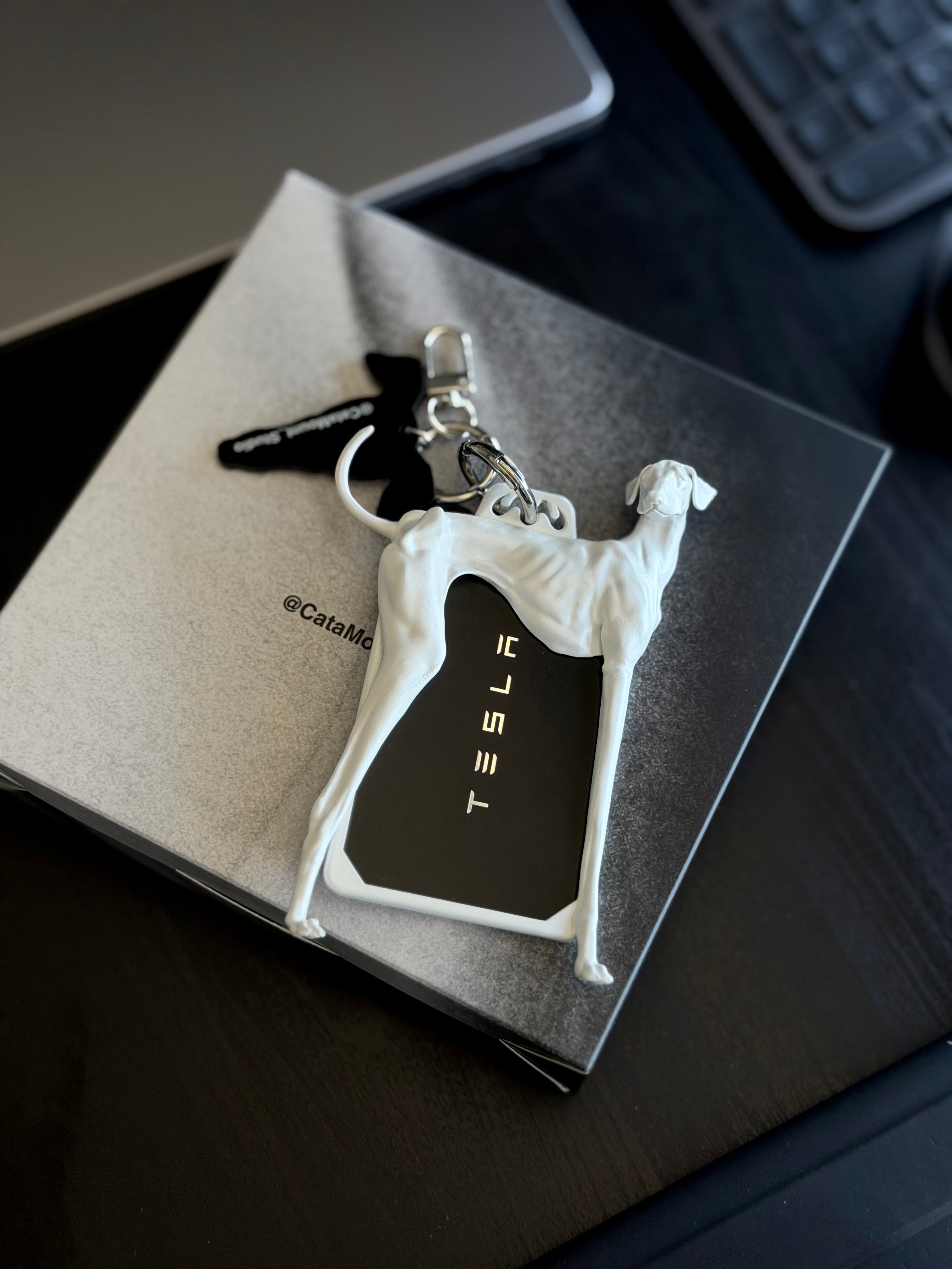 CataMount Greyhound Resin Photocard Holder | Hand-Sanded & Spray-Painted | Handmade Custom Y3K Idol Card Case