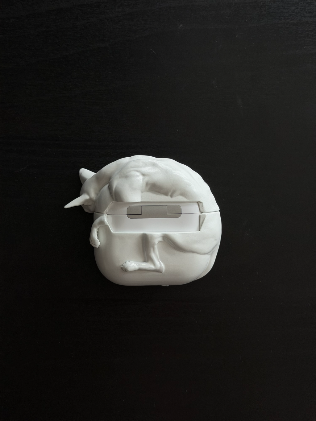 CataMount Original handmade Sphynx Cat AirPods Case for AirPods Pro 1/2/3 & AirPods 4