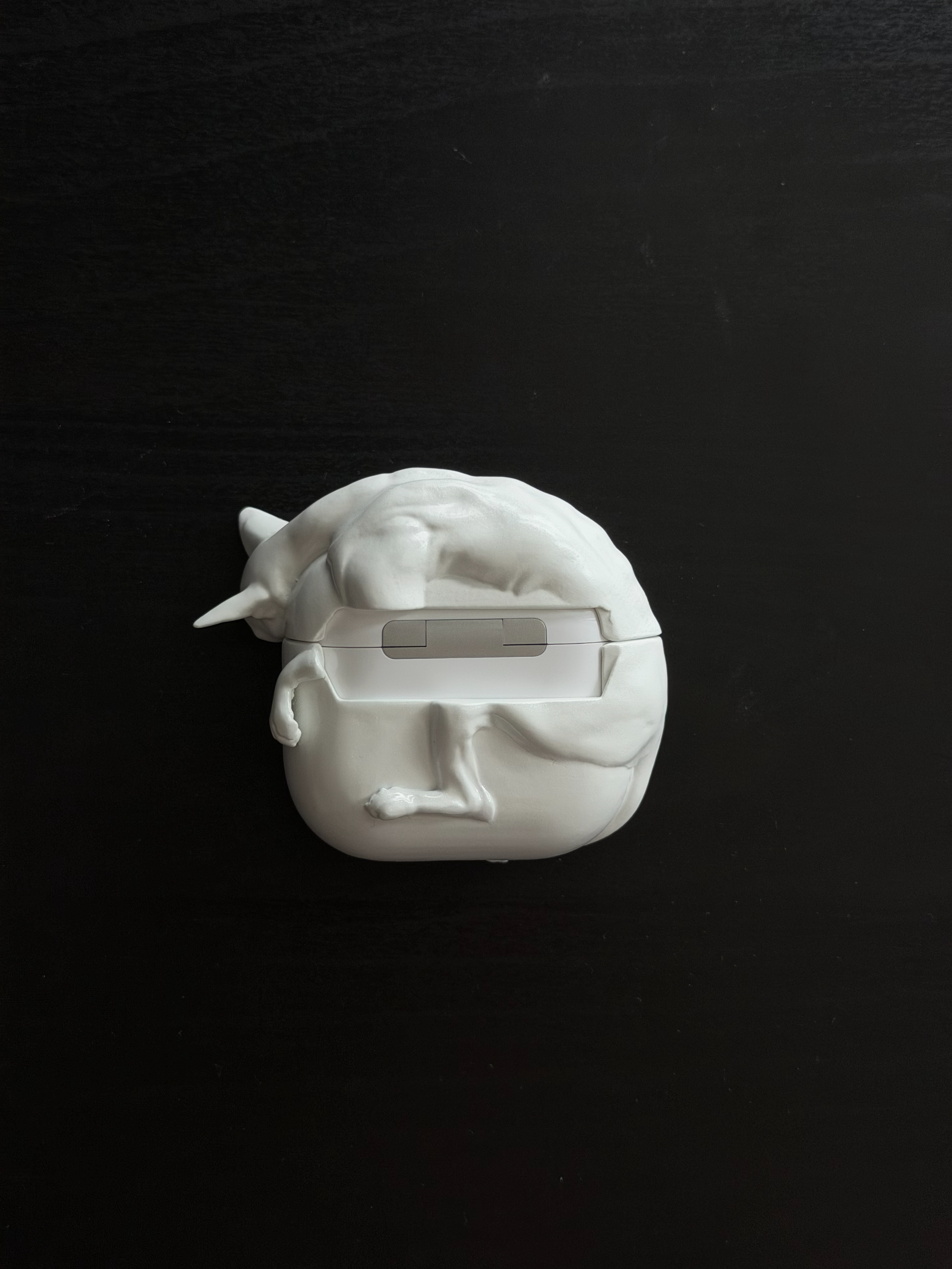 CataMount Original handmade Sphynx Cat AirPods Case for AirPods Pro 1/2/3 & AirPods 4